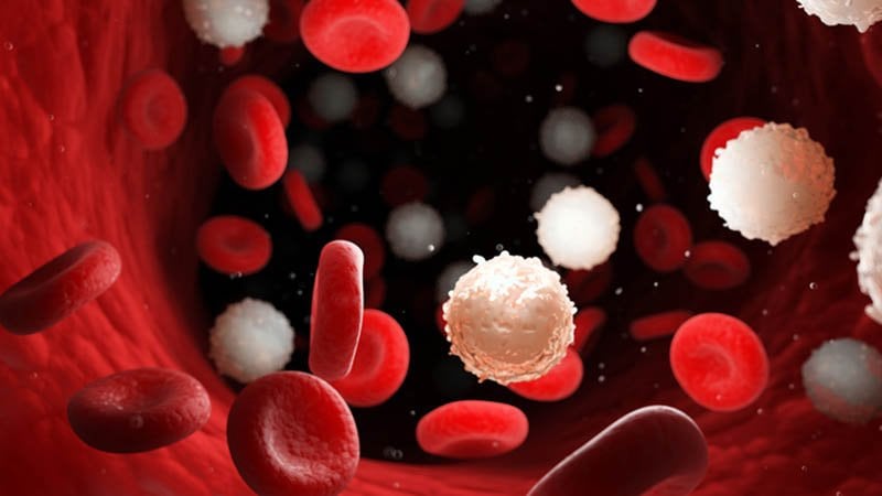 Mortalidade por leucemia infantil deve aumentar até 2030, mostra estudo